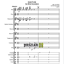 虔诚等待网友编曲的 超级玛丽 管弦乐总谱 SUPER MARIO for Orchestr PDF高清版