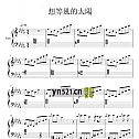 卡农谱集 共19首 钢琴谱 PDF高清版 打包下载